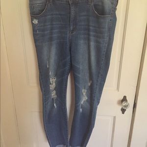 Ms.Cello Distressed Jeans